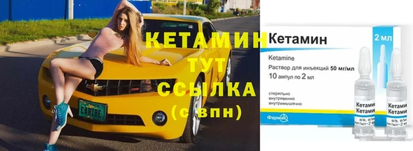 шишки Беломорск