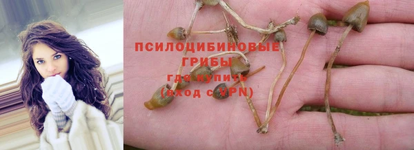ПСИЛОЦИБИНОВЫЕ ГРИБЫ Белоозёрский