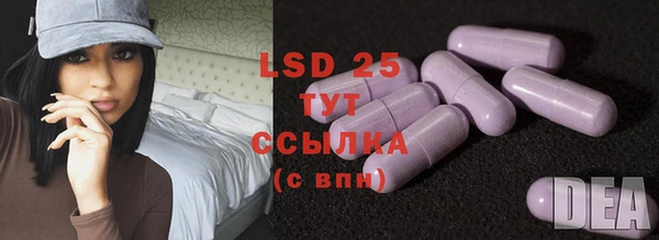 шишки Беломорск