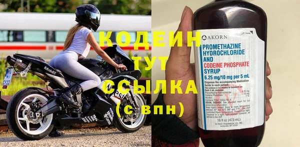 шишки Беломорск