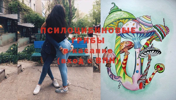 ПСИЛОЦИБИНОВЫЕ ГРИБЫ Белоозёрский