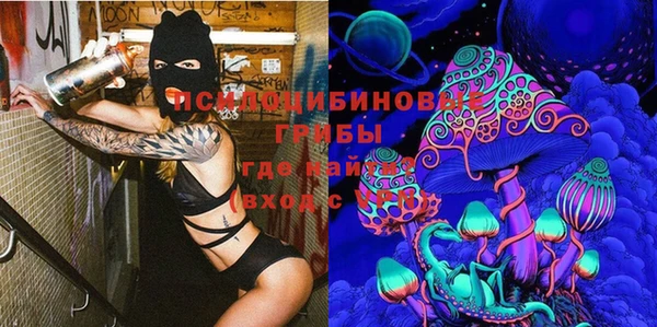 амфетамин Белокуриха